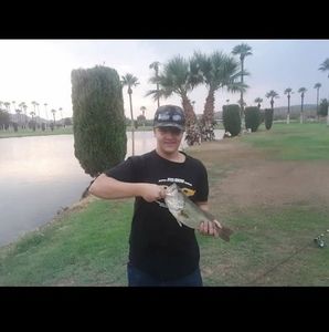 Meet your Posher, Patrick